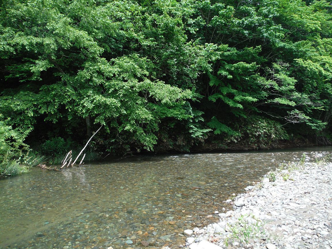 b0172805_17484592.jpg