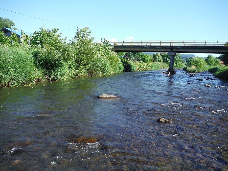 b0172805_17522640.jpg