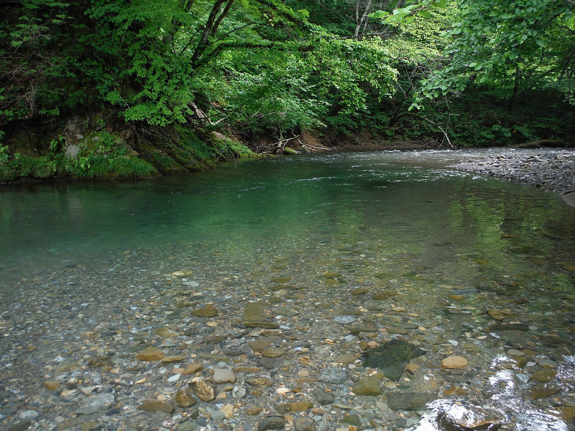 b0172805_18291845.jpg