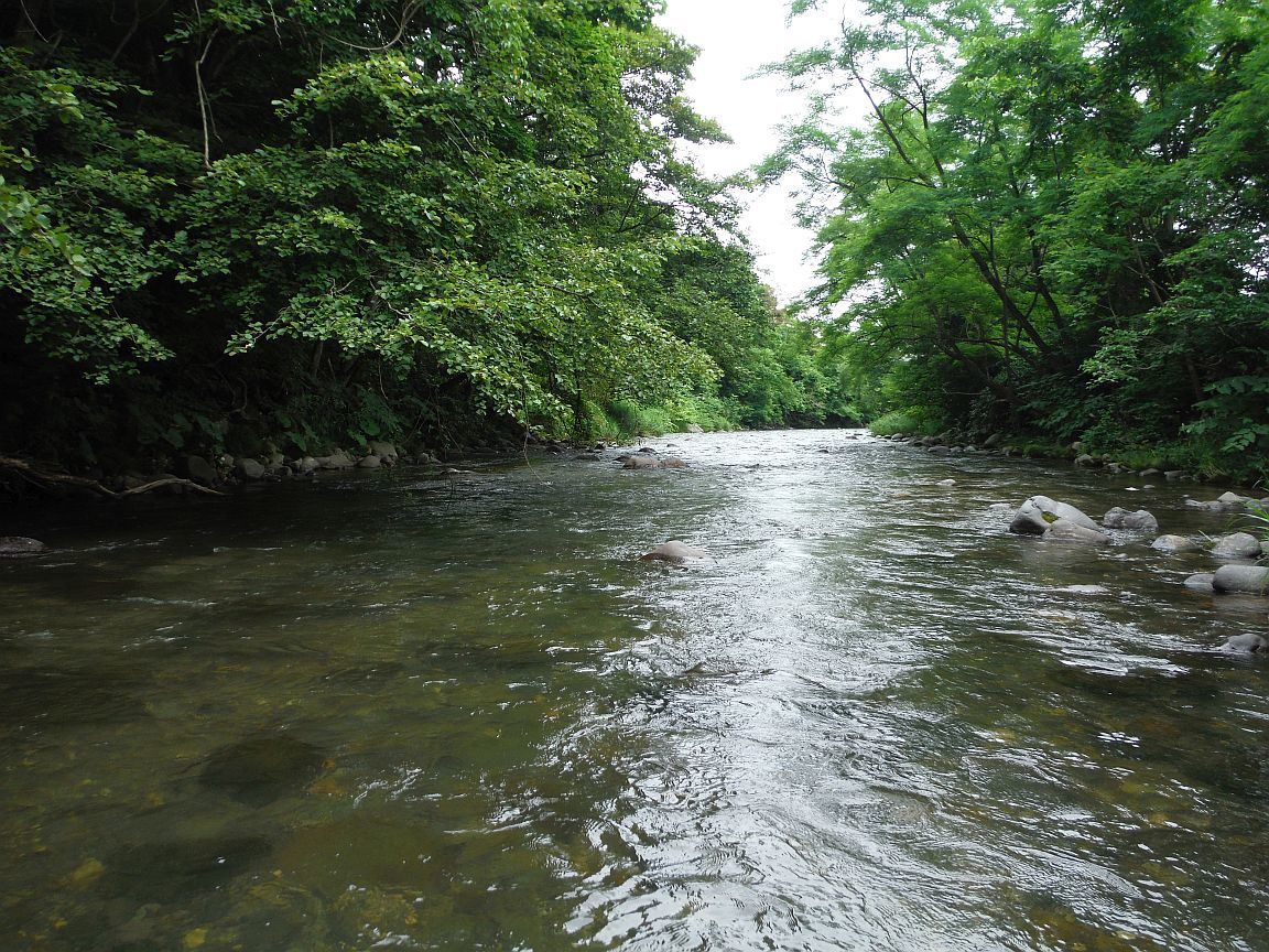 b0172805_18404939.jpg