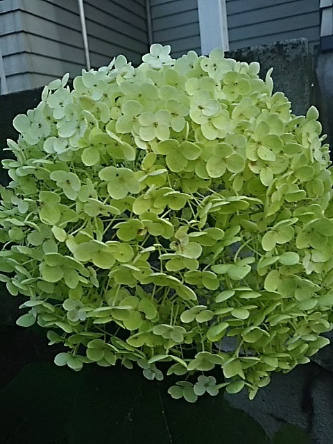 f0316507_18404904.jpg