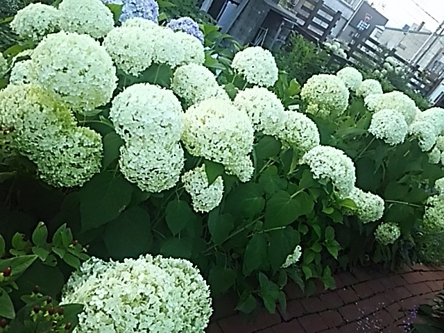 f0316507_18410253.jpg