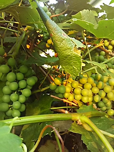 f0316507_19104696.jpg