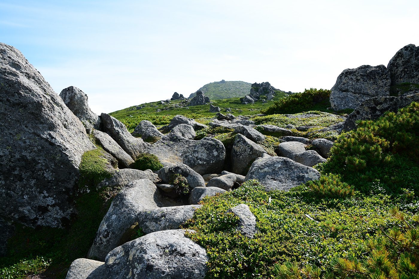 a0248508_21080700.jpg