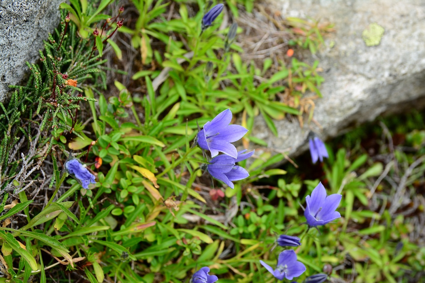 a0248508_21154669.jpg
