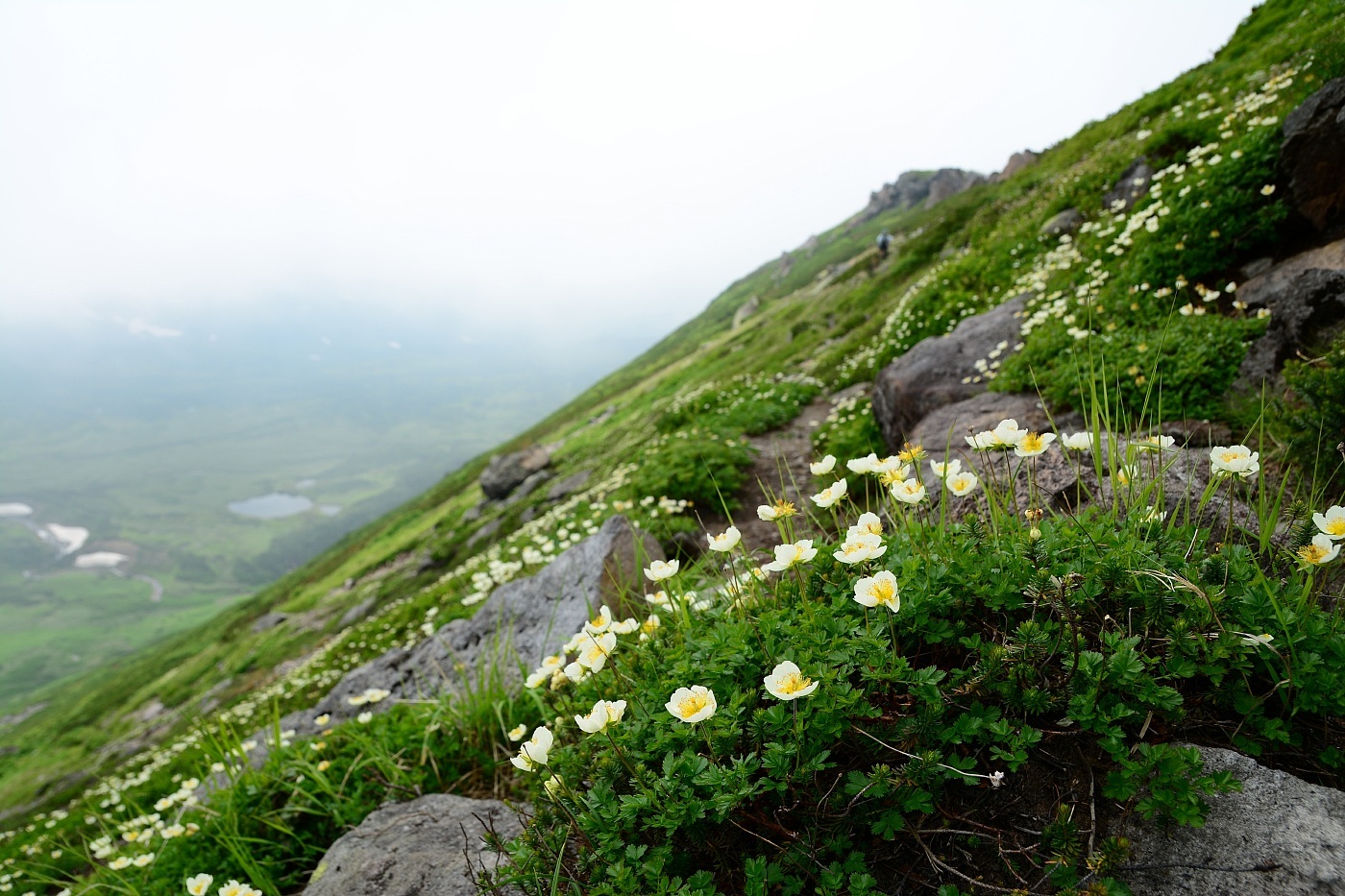 a0248508_21163215.jpg
