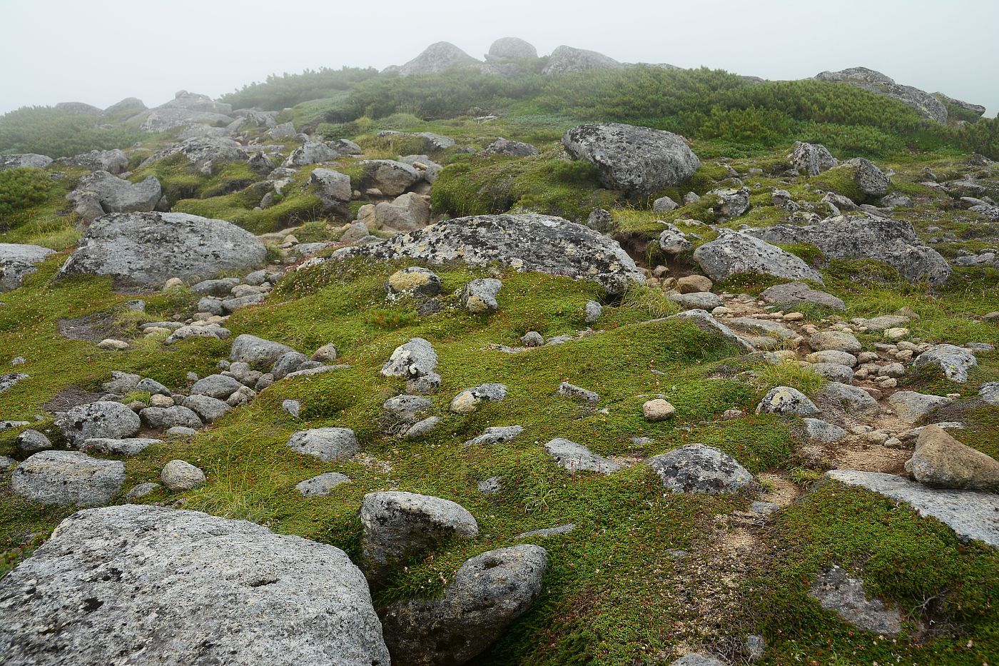 a0248508_21173767.jpg