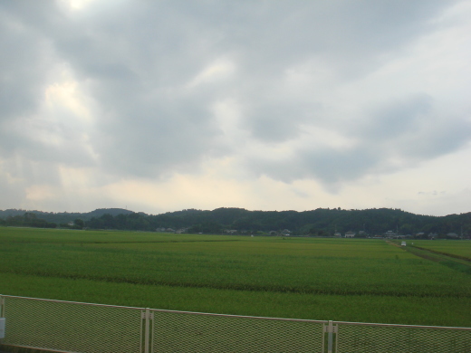 d0347108_16345724.jpg