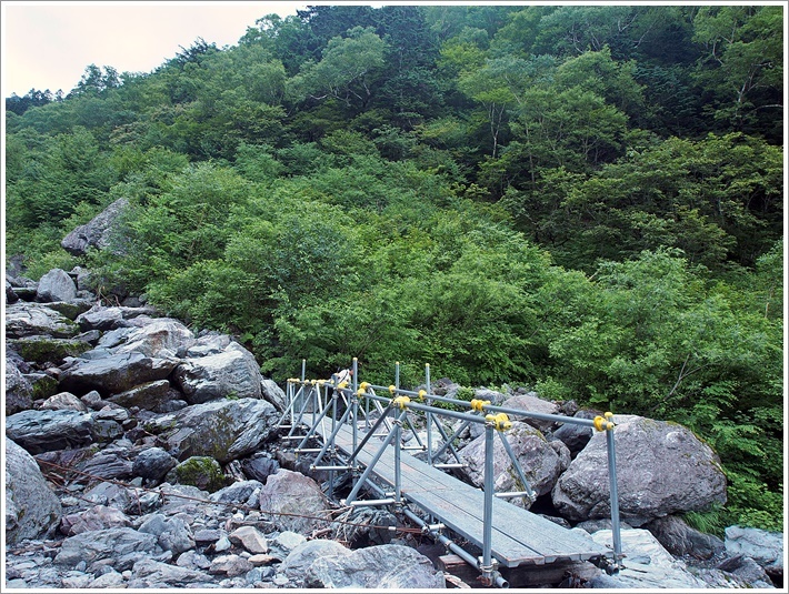 2017/07/28～29　百花繚乱の北岳  １日目_f0052108_01362840.jpg