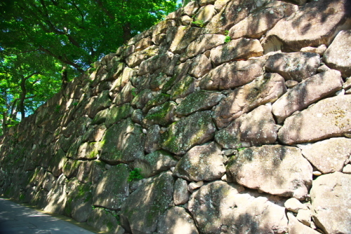 a0263109_13512072.jpg