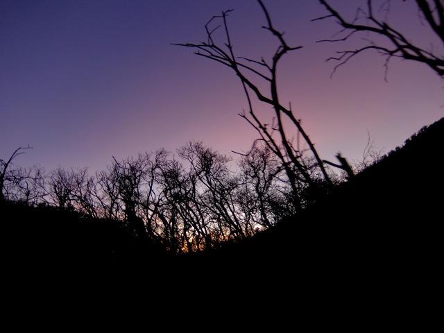 c0211615_13563526.jpg