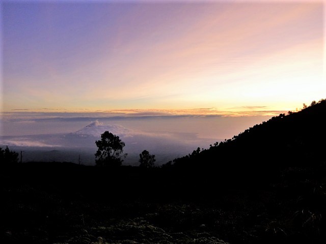 c0211615_14054531.jpg