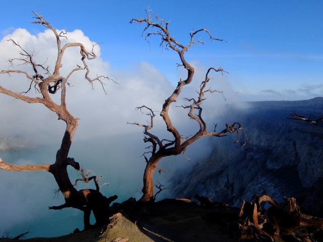 c0211615_14431003.jpg
