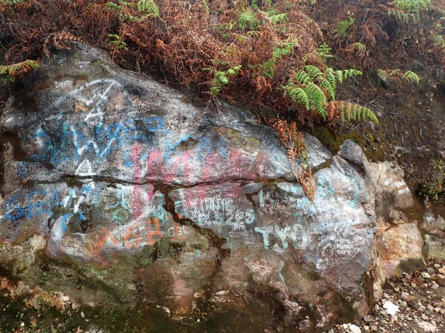 c0211615_15414702.jpg