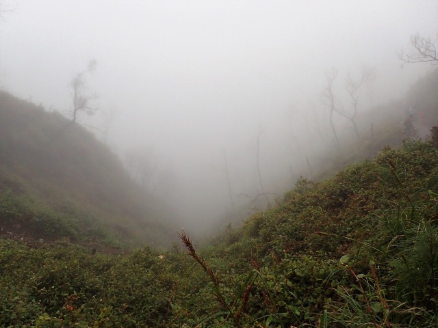 c0211615_15421729.jpg