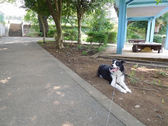 c0343734_22581533.jpg