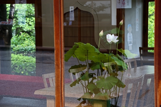 a0242438_18165008.jpg