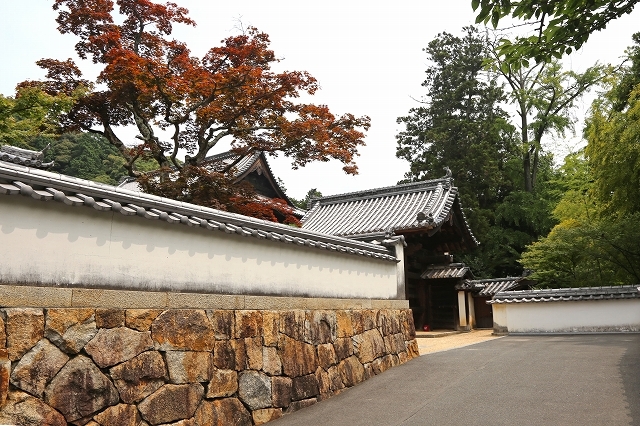 a0242438_18182140.jpg