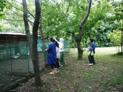 菊池水源の夏満喫!バーベキューに川遊び、そして井手ベンチャー!!_a0254656_20261624.jpg