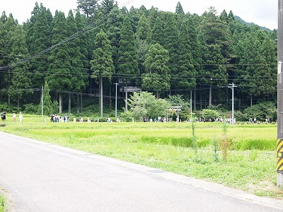 根道神社の通称「モネの池」_d0058658_21043364.jpg