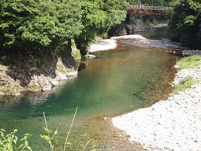 根道神社の通称「モネの池」_d0058658_21262436.jpg