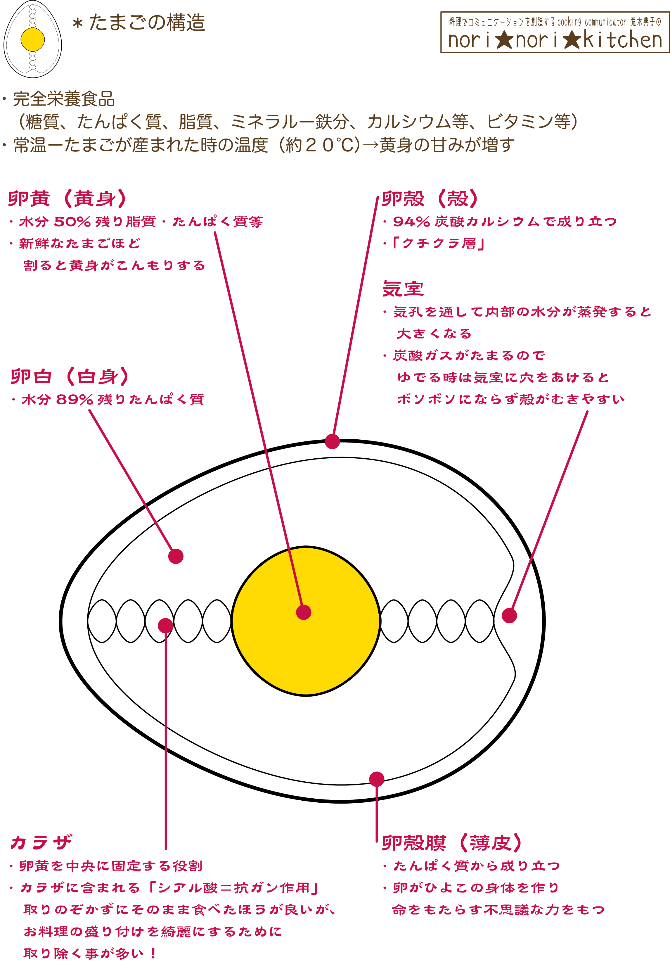 たまごの構造***nori★nori★kitchen(ノリノリキッチン)荒木のりこ特製レシピ***_c0361660_22065992.png