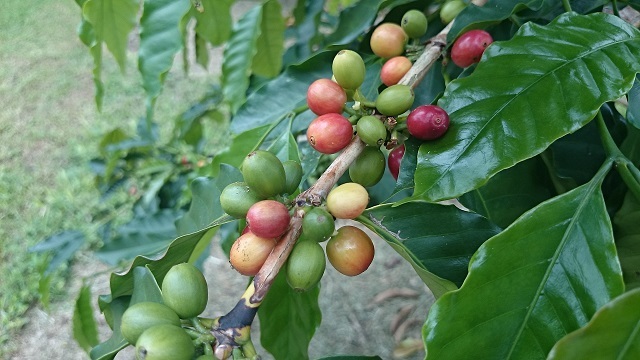 e0225164_15021572.jpg