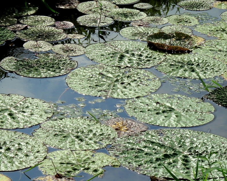 c0305565_17552692.jpg