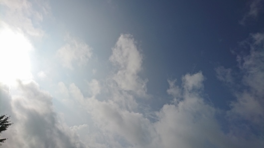 d0362666_07321116.jpg