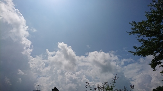 d0362666_10284821.jpg