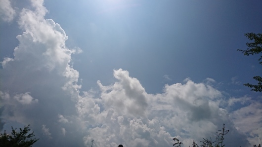 d0362666_10290767.jpg