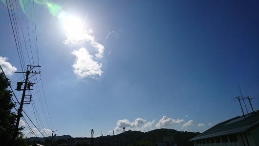 d0362666_15335511.jpg