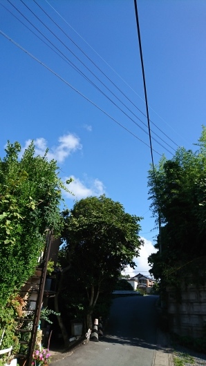 d0362666_15480526.jpg