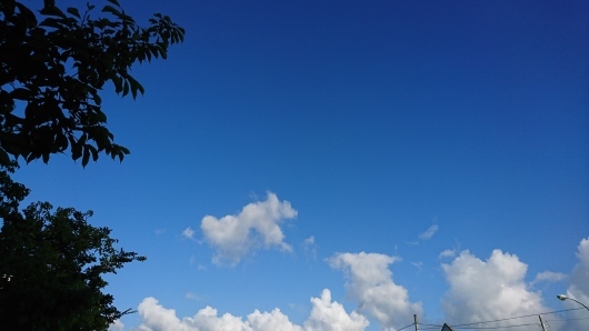 d0362666_18002231.jpg