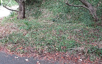 f0003283_10544706.jpg