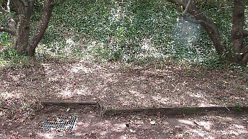 f0003283_10551782.jpg