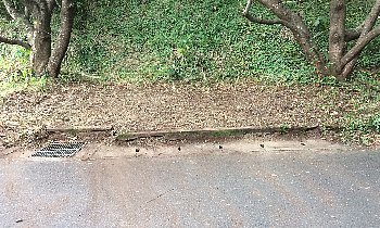 f0003283_10554861.jpg
