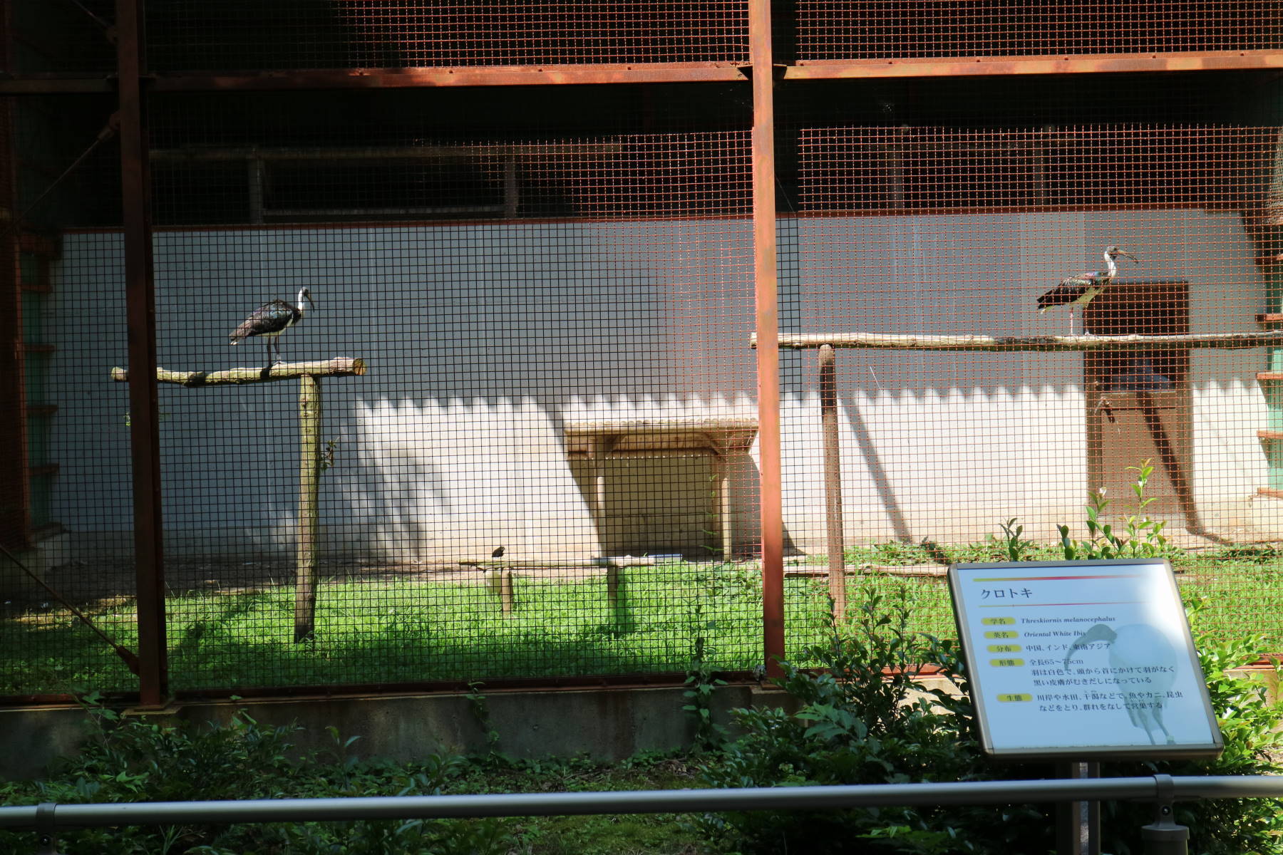 f0075595_02521532.jpg