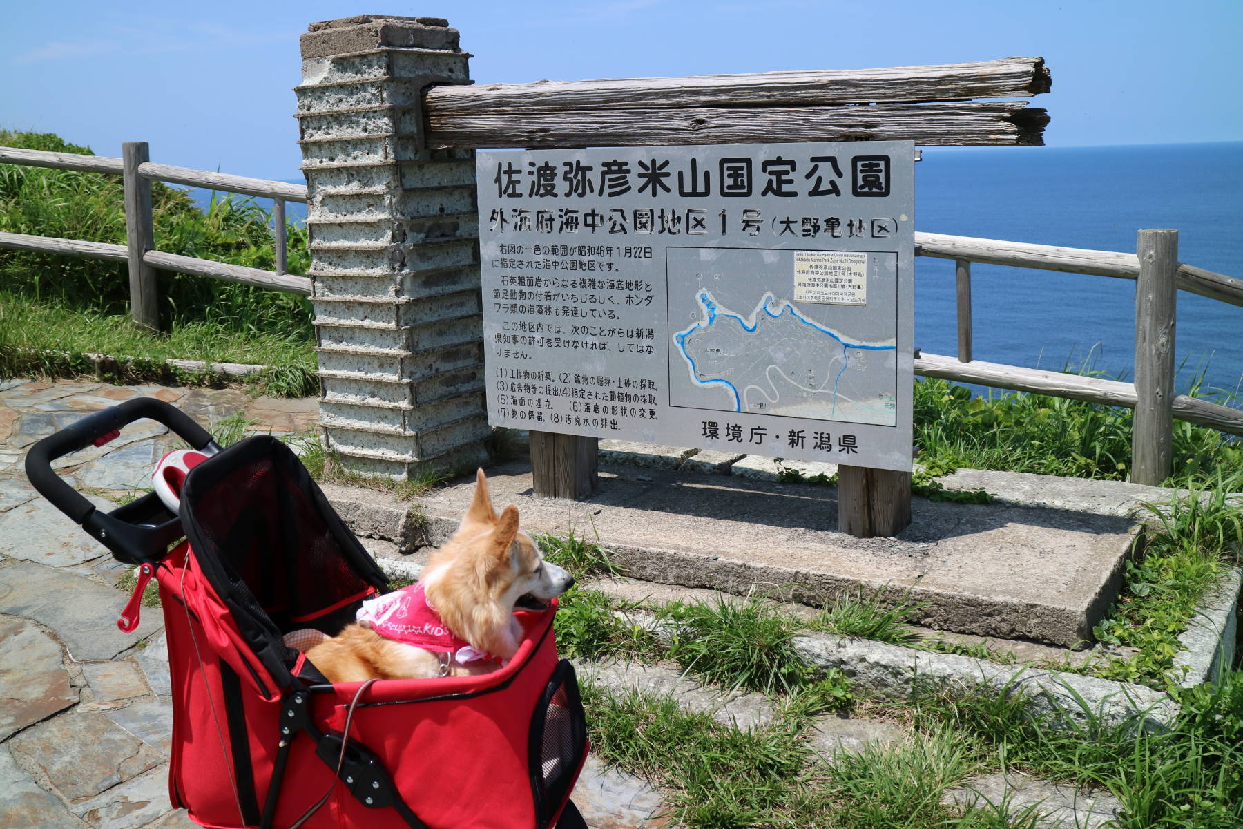 f0075595_03041184.jpg