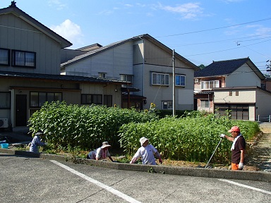 c0187298_2041916.jpg
