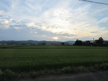 a0203003_20135723.jpg