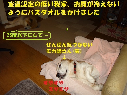 f0121712_15185780.jpg
