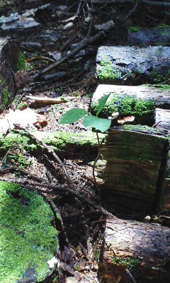 c0173813_00260739.jpg