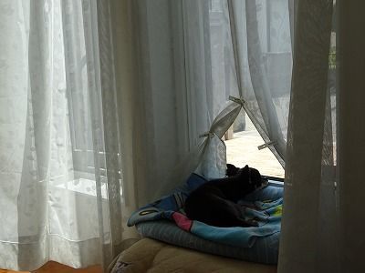 f0328313_10170527.jpg