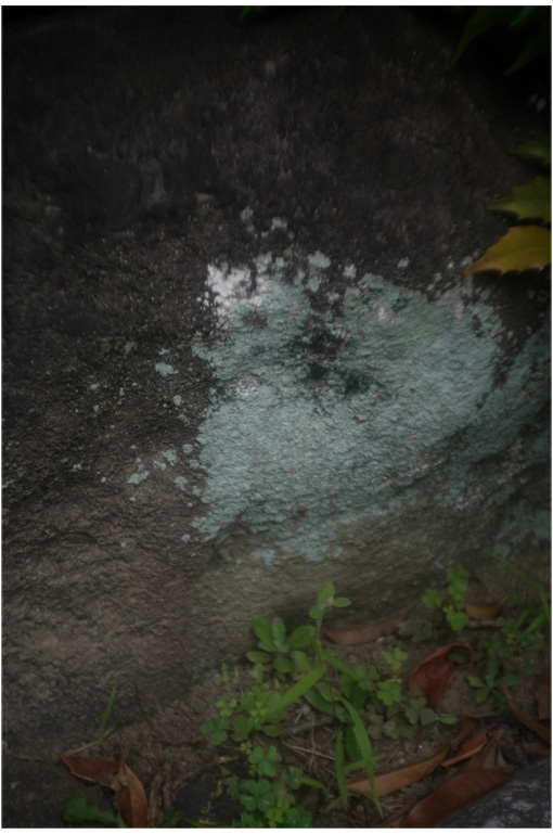 1852　西大寺（2017年7月17日ペンタック38㎜F2.9はゆったりと瞳を開き）1_b0226423_13483898.jpg