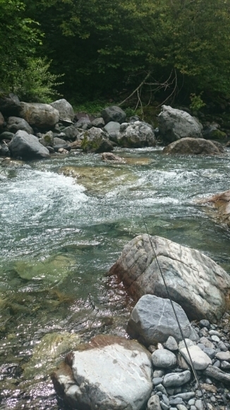 a0270125_07172021.jpg