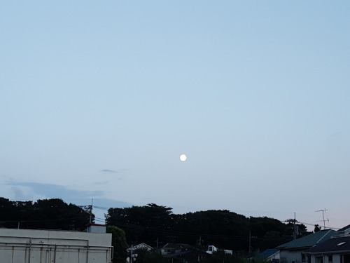 e0016828_10034116.jpg
