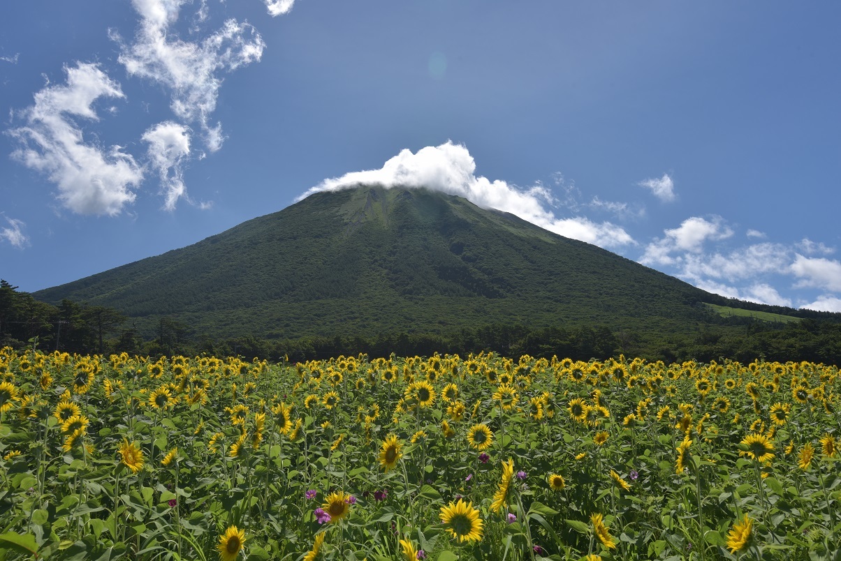 鳥取県の大山と島根県浜田市の海岸_b0369329_12144402.jpg