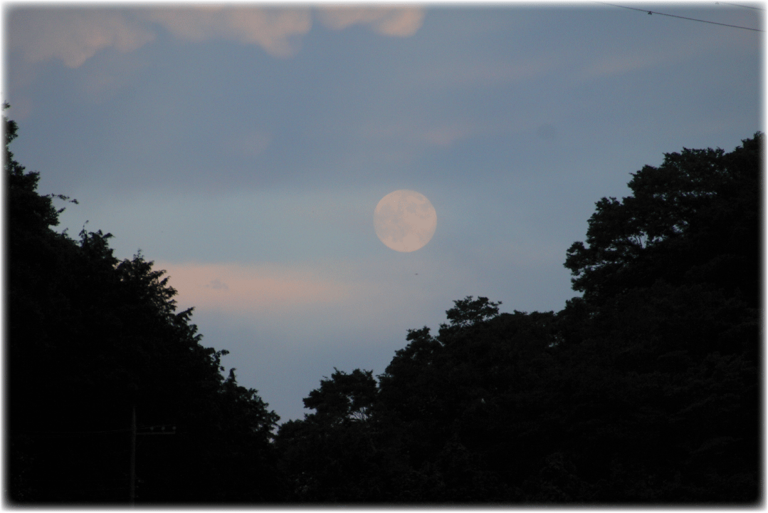 c0107829_17323619.gif