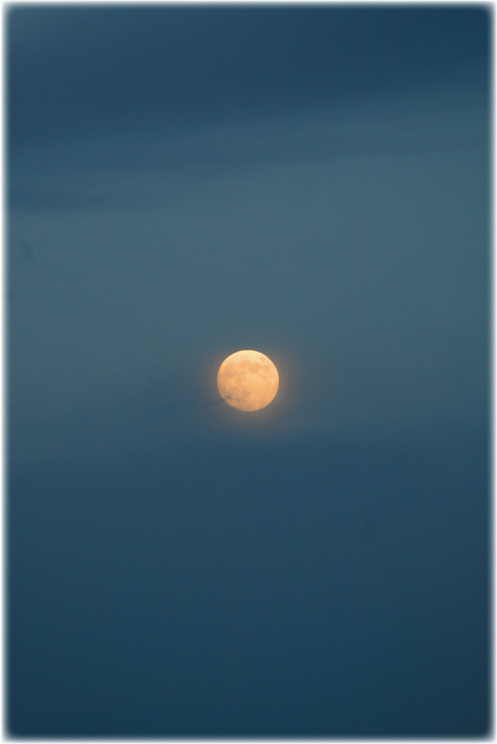 c0107829_17330525.gif